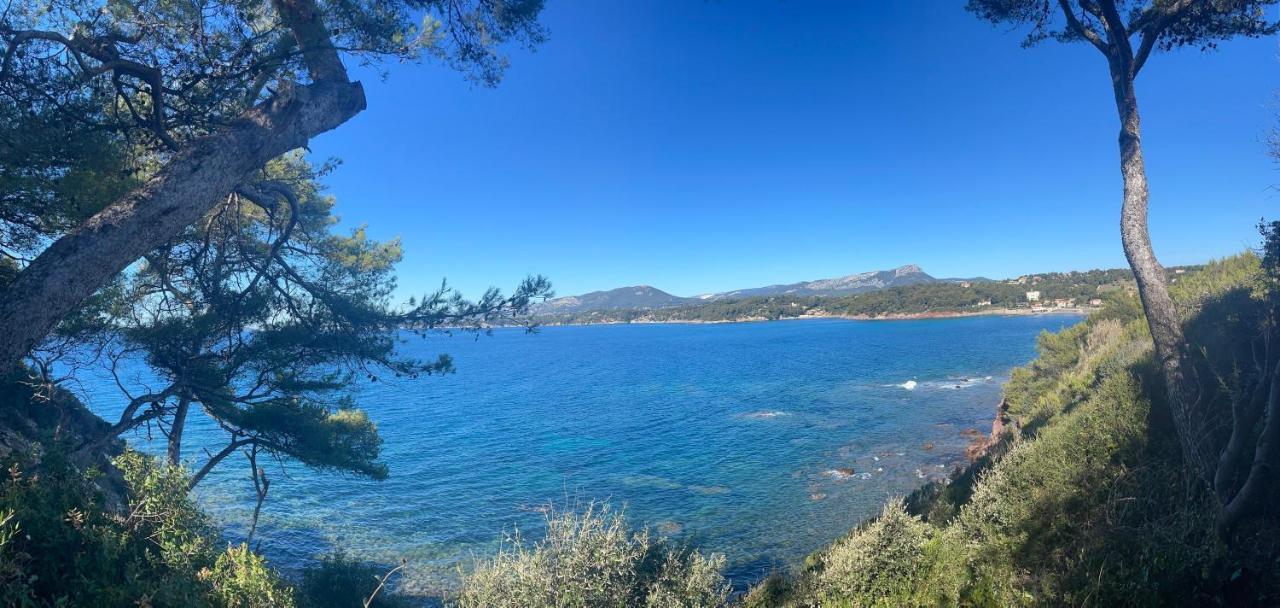 Appartement Cosy Vue Mer A 50 M De La Plage - Refait A Neuf Et Climatise Le Pradet Eksteriør billede