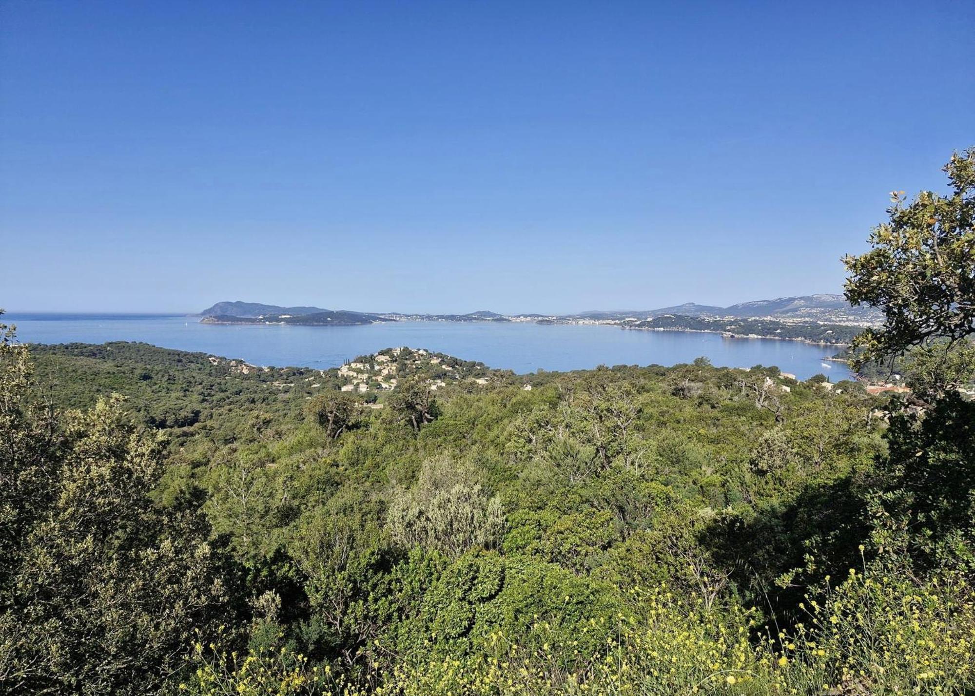 Appartement Cosy Vue Mer A 50 M De La Plage - Refait A Neuf Et Climatise Le Pradet Eksteriør billede