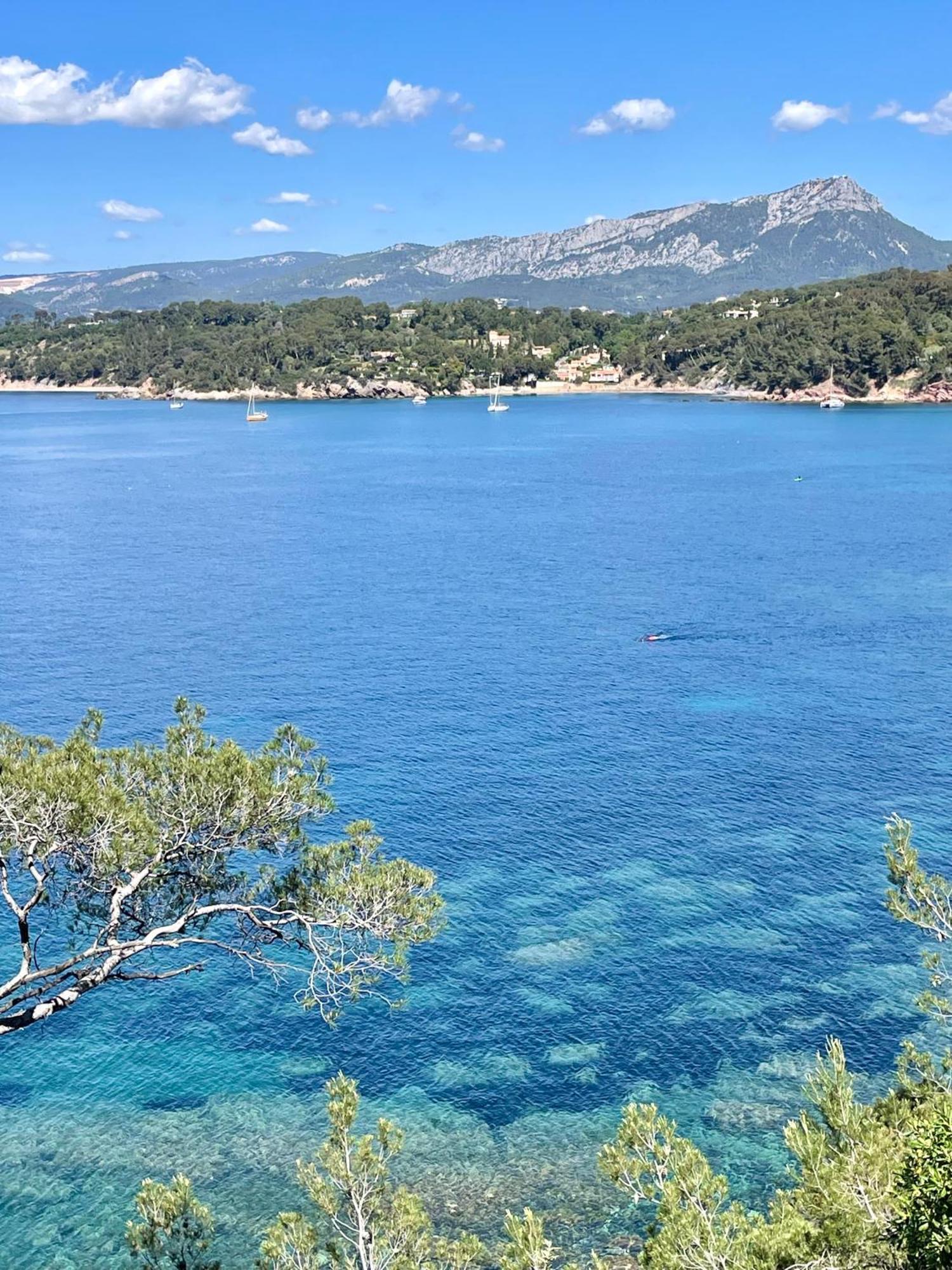 Appartement Cosy Vue Mer A 50 M De La Plage - Refait A Neuf Et Climatise Le Pradet Eksteriør billede