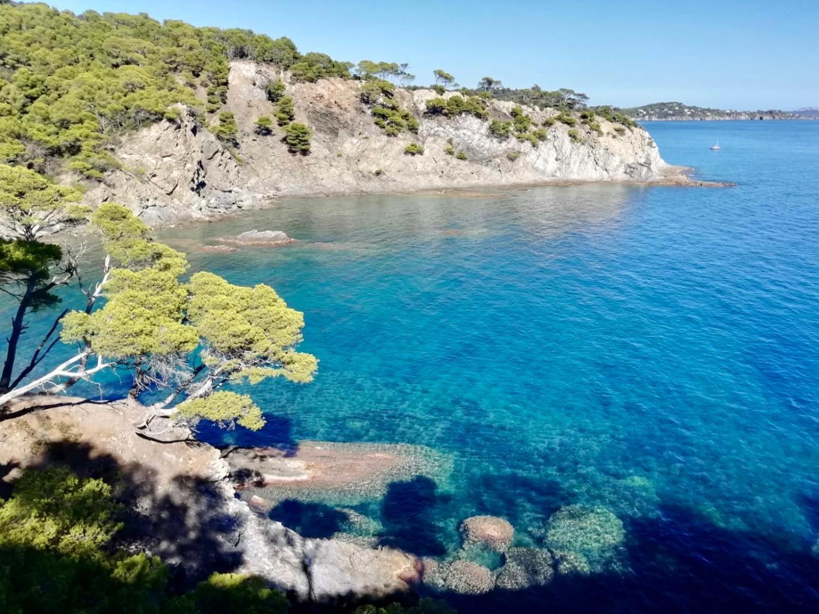 Appartement Cosy Vue Mer A 50 M De La Plage - Refait A Neuf Et Climatise Le Pradet Eksteriør billede
